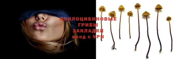 spice Кукмор