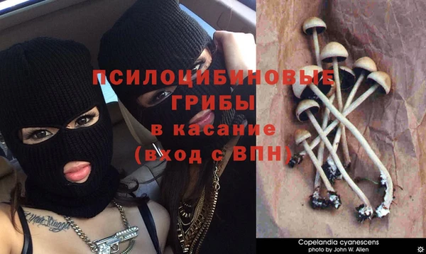 MDMA Premium VHQ Краснотурьинск